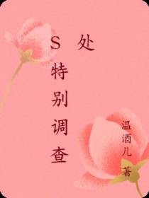 s特别调查处