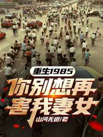 重生1985，你别想再害我妻女