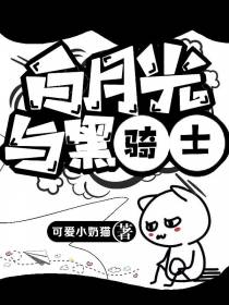 白月光与黑骑士