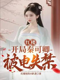 红楼：开局秦可卿被电失禁