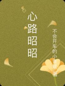 心路昭昭
