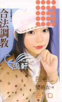 合法调教