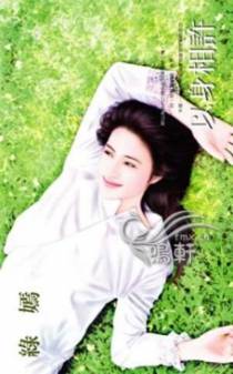 以身相许