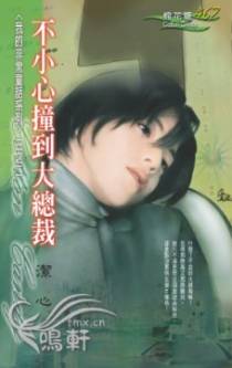 不小心撞到大总裁