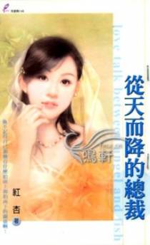 从天而降的总裁