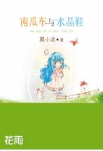 南瓜车与水晶鞋