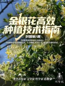 金银花高效种植技术指南