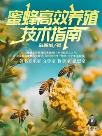 蜜蜂高效养殖技术指南