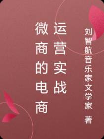 微商的电商运营实战
