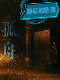 孤舟：最后的卧底
