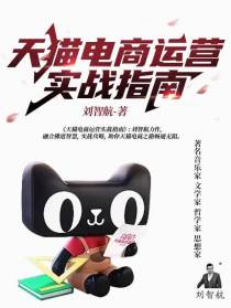 天猫电商运营实战指南