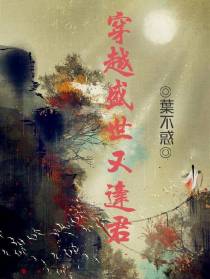 穿越盛世又逢君