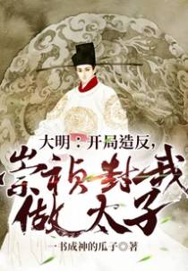 大明：开局造反，崇祯封我做太子