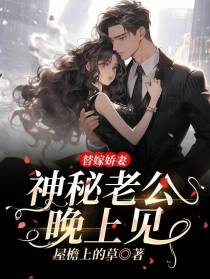 替嫁娇妻：神秘老公，晚上见