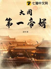 大周第一帝婿