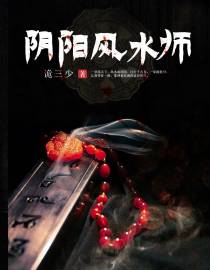 阴阳风水师
