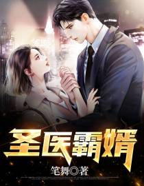 圣医霸婿