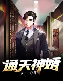 通天神婿