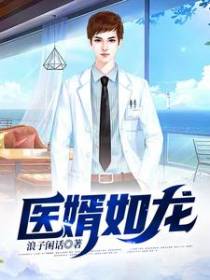医婿如龙