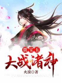 贾宝玉大战诸神