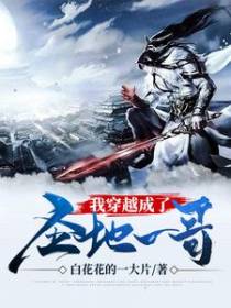 我穿越成了圣地一哥