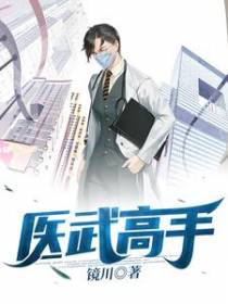 医武高手