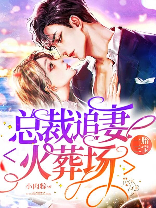 一胎三宝：总裁追妻火葬场