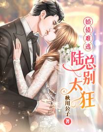 婚债难逃：陆总别太狂