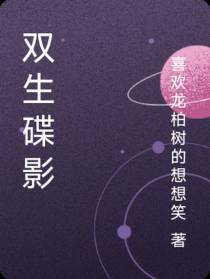 双生碟影