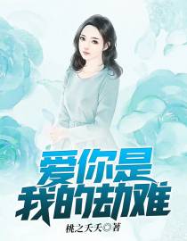 爱你是我的劫难