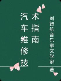 汽车维修技术指南