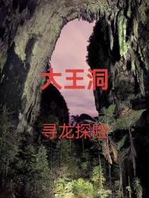 大王洞