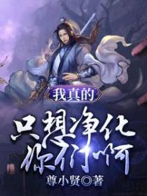 我真的只想净化你们啊