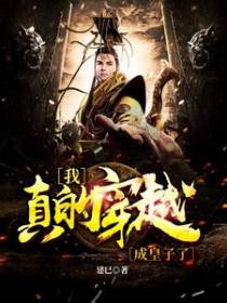 我真的穿越成皇子了