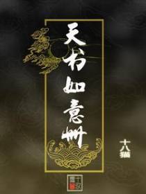 天书如意册