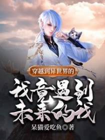 穿越到异世界的我竟遇到未来的我