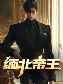 缅北帝王
