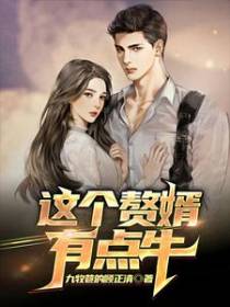 这个赘婿有点牛
