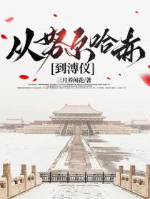 从努尔哈赤到溥仪
