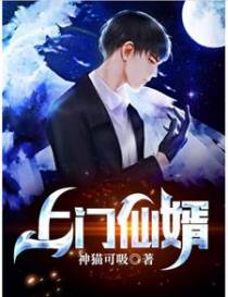 上门仙婿