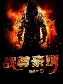 战尊豪婿