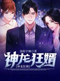 神龙狂婿