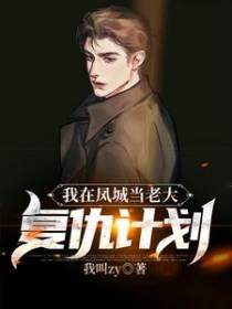 我在凤城当老大：复仇计划
