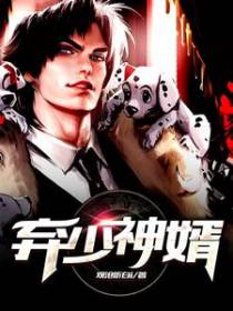 弃少神婿
