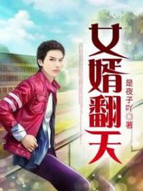 女婿翻天