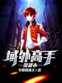 域外高手混都市
