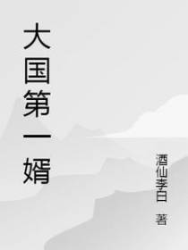 大国第一婿