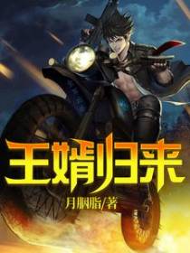 王婿归来