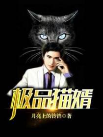 极品猫婿