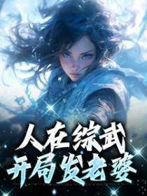 人在综武，开局发老婆